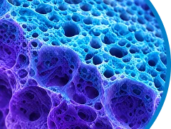 Tailored Surface Area and Pore Volume